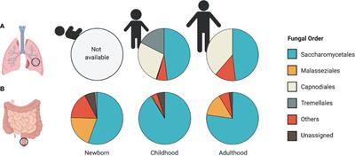 The Fungal Microbiome and Asthma